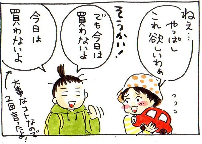 やっぱしこれ欲しいわぁ。でも今日は買わないよ！今日は買わないよ。大事な事なので2回言ったよ。