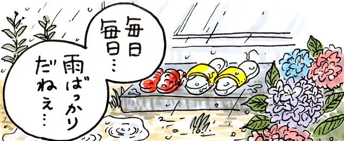 毎日毎日雨ばかりだね...